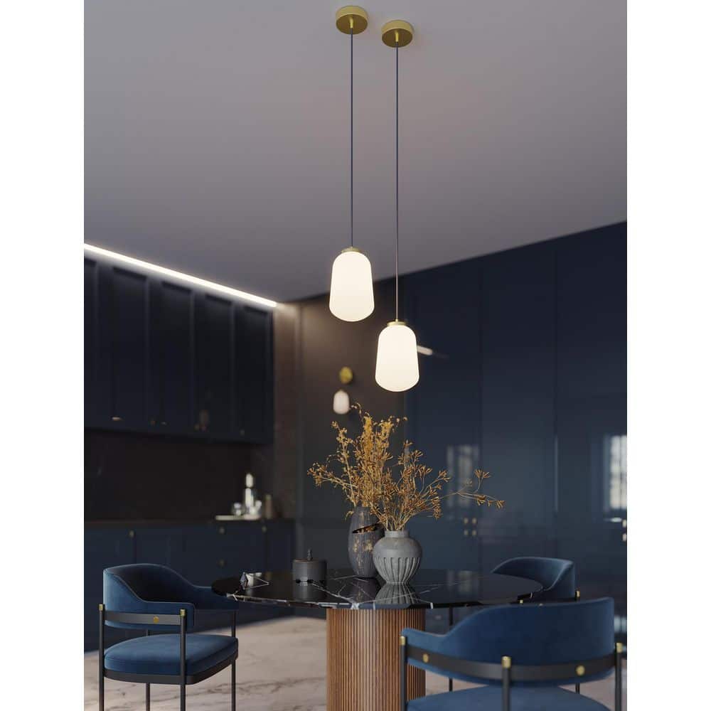 Olivia Brass Outdoor Pendant Light with Glass Shade price history on PriceWatchPro