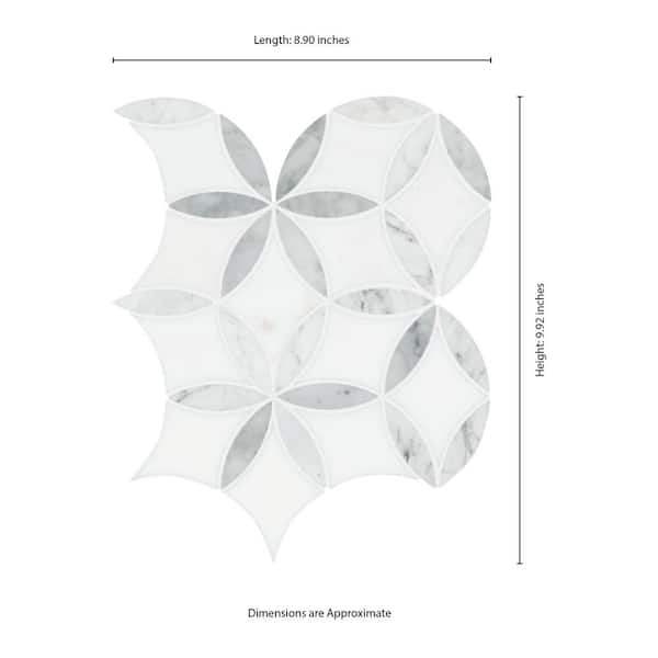 MSI Take Home Tile Sample - La Fleur 6 in. x 6 in. x 8mm Polished