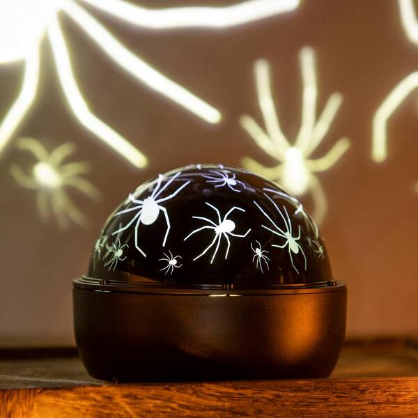 Evergreen Enterprises 6 in. Black LED Halloween Spider Projector