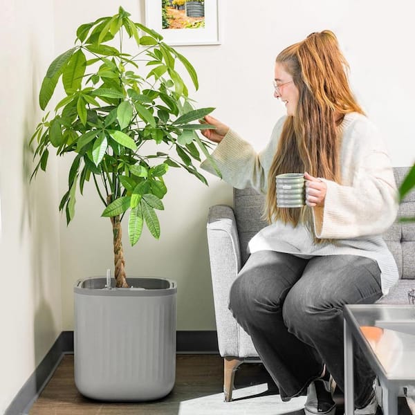 EZ Self-Watering Home Planter, Fog Gray / 1 Pack
