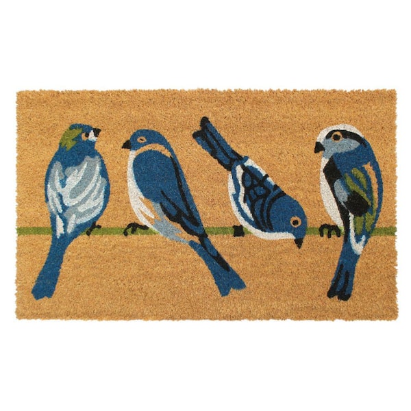 Unbranded Welcome 4 Birds Natural 18 in. x 30 in. Coir Non-Slip Outdoor Door Mat