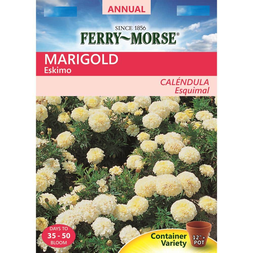 Ferry-Morse Marigold Eskimo Flower Seeds 9506 - The Home Depot