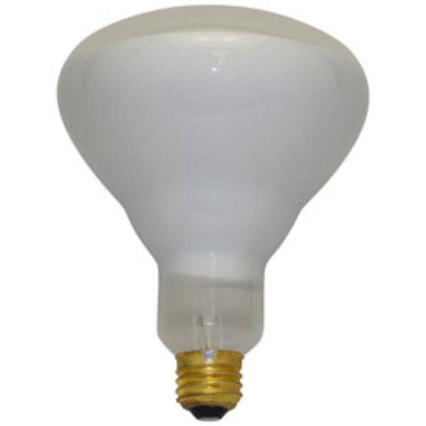 INTERLIGHT 300-Watt R40 E26 Replacement for HALCO R40FL300/HG ...