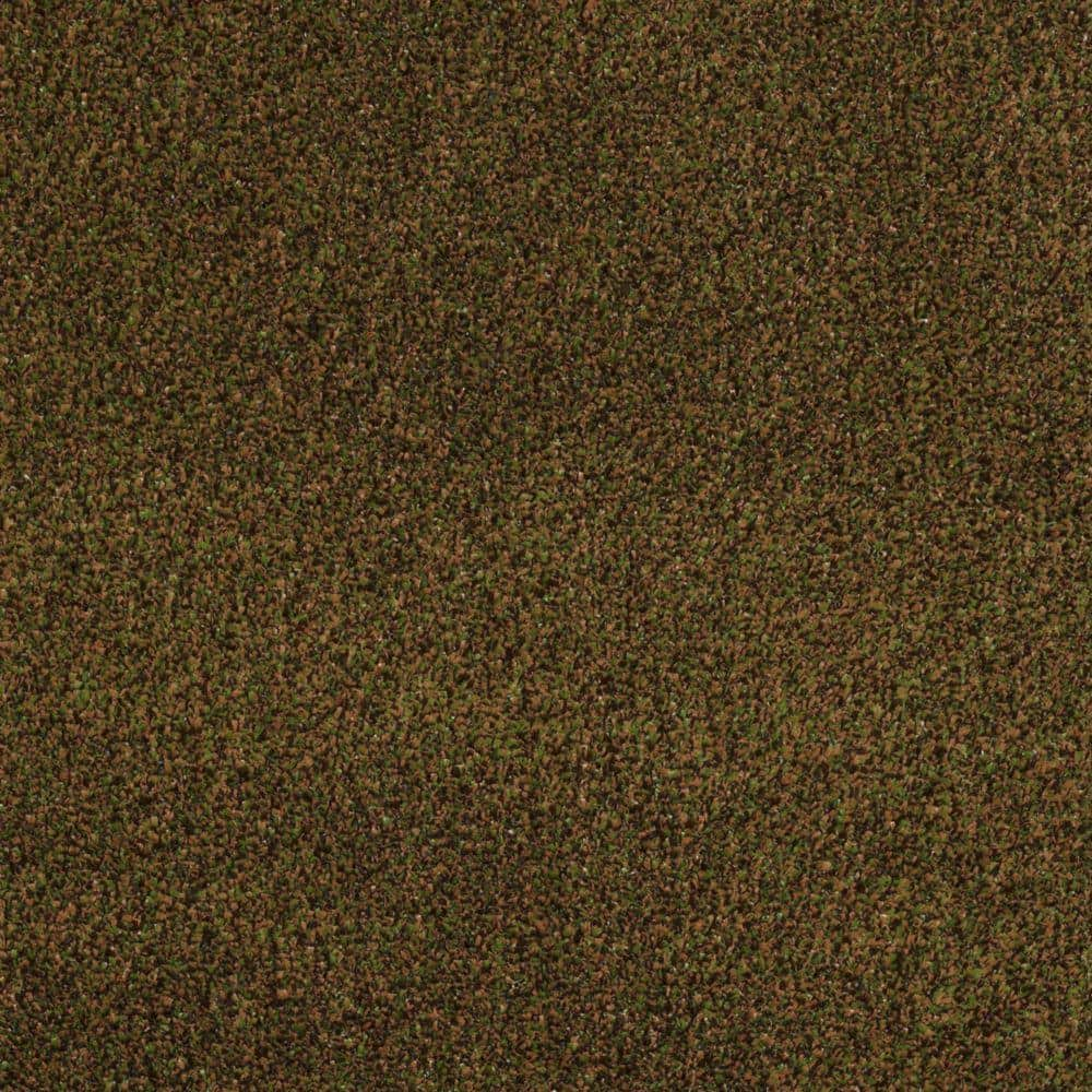 TrafficMaster 8 in. x 8 in. Texture Carpet Sample - Toulon - Color Spanish Moss