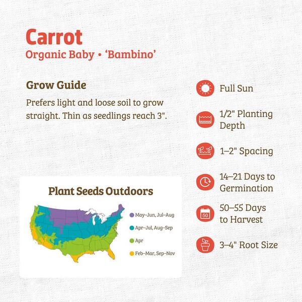 Back to the Roots Organic Bambino Carrot Seed (1-Pack) 46041 - The