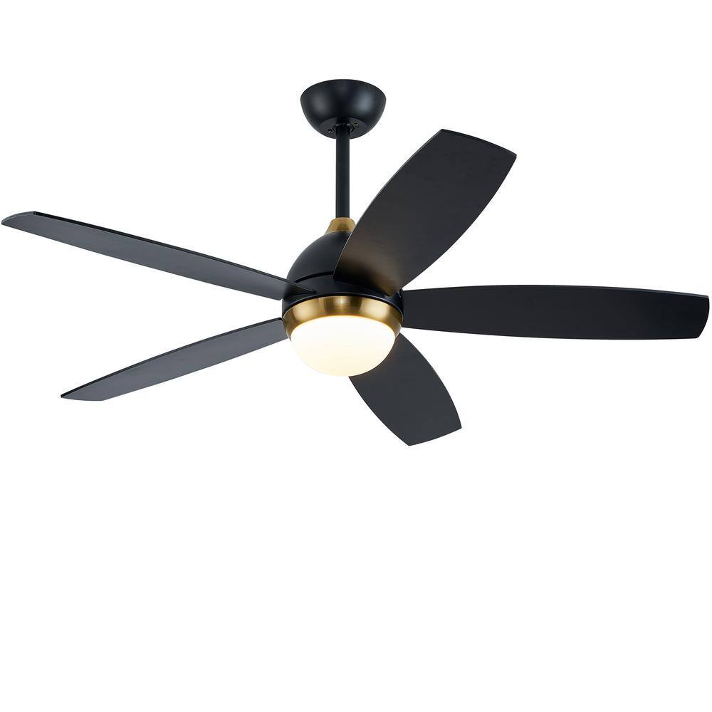 Ohniyou 20'' Enclosed Ceiling Fan with Lights, Bladeless Ceiling Fan with  Light and Remote, Low Profile Ceiling Fan With Dimmable Light,6 