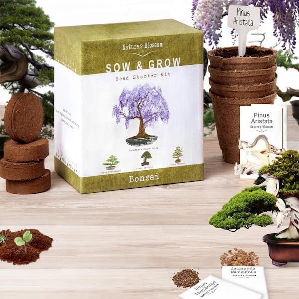 Nature's Blossom Bonsai Growing Kit. Grow 4 Types of Miniature Trees, Set  with - Seeds, Soil, Planting Pots, Labels and Growing Guide X00108AAYD -  The