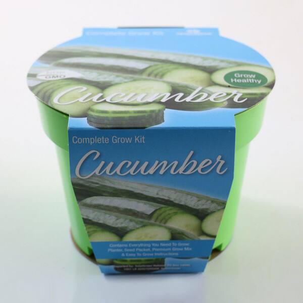 national PLANT NETWORK 6.1 in. Cucumber Healthy Seed Grow Kit