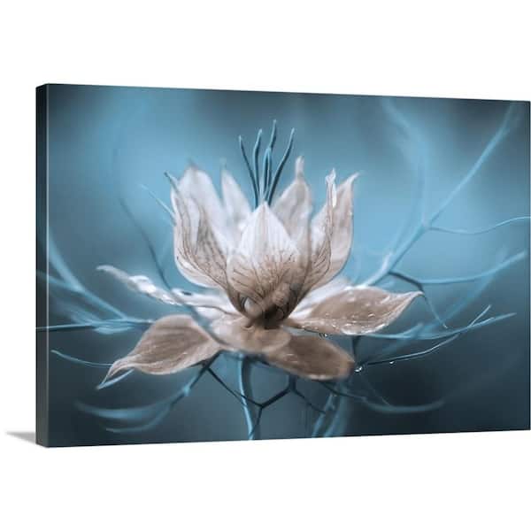 GreatBigCanvas "Nigella" by Mandy Disher Canvas Wall Art