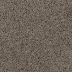 Dream Wish - Target - Gray 32 oz. SD Polyester Texture Installed Carpet