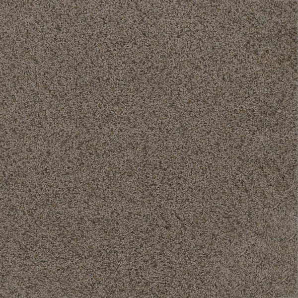 TrafficMaster Dream Wish - Target - Gray 32 oz. SD Polyester Texture Installed Carpet