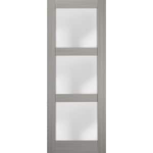 24 in. W. x 84 in. No Bore Solid Core Frosted Glass White Finished Pine Wood Interior Door Slab