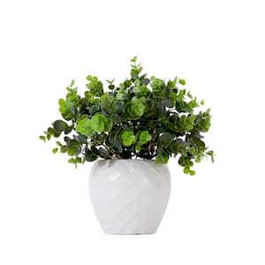 11 in. Green Artificial Boxwood Plant with Decorative Planter