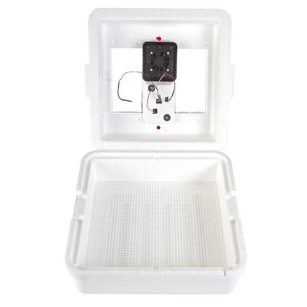 Little Giant Digital Circulated Air Incubator