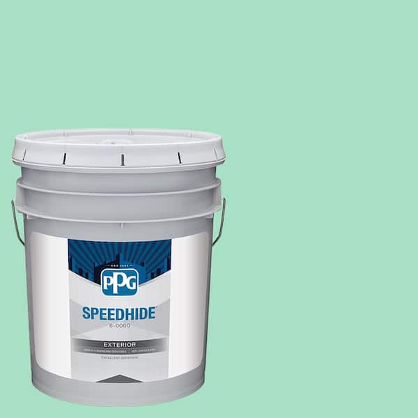 SPEEDHIDE 5 gal. PPG1227-3 Mountain Mint Flat Exterior Paint