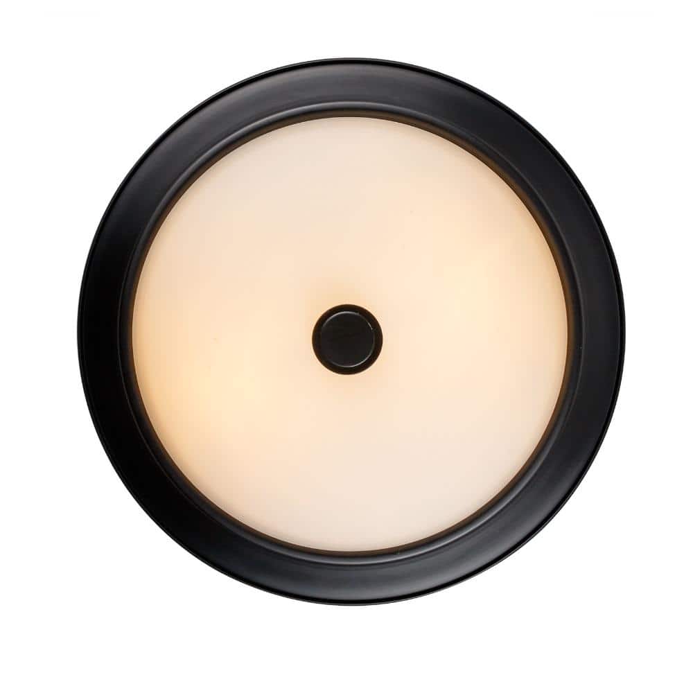 15" Black Frosted Glass Bowl Ceiling Light Fixture