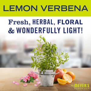 48 oz Lemon Verbena Scent Liquid Dish Soap