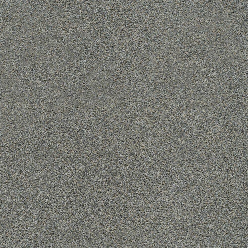 8 in. x 8 in. Texture Carpet Sample-Cinderella Soft I-Color Fascinate price history on PriceWatchPro