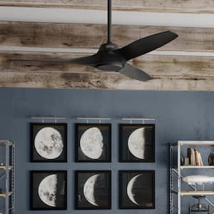 Mosley 52 in. Ceiling Fan Matte Black Indoor/Outdoor with Wall Control Included For Patios or Bedrooms