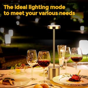 13.4 in. Gold Modern Rechargeable Integrated LED Table Lamp for Living Room with Shade and USB Port