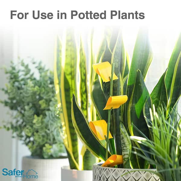 Safer Brand Houseplant Sticky Stake Insect Traps for Indoor Plants - Traps  Aphids, Whiteflies, Fruit Flies, Fungus Gnats (48-Traps) SH5026-3SR