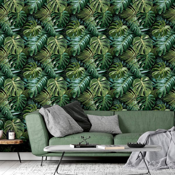 Harlynn Green Monstera Wallpaper