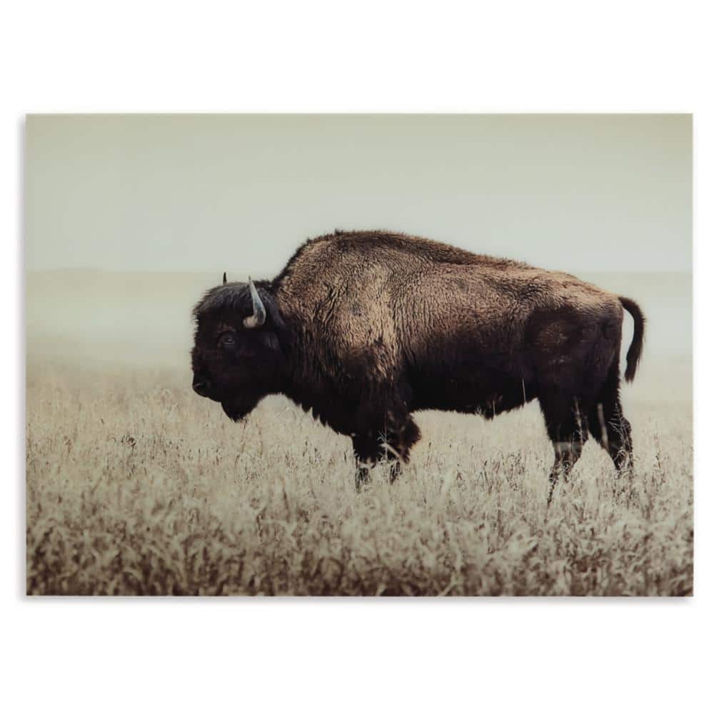 Sepia Bison Glass Wall Art in Beige and Brown