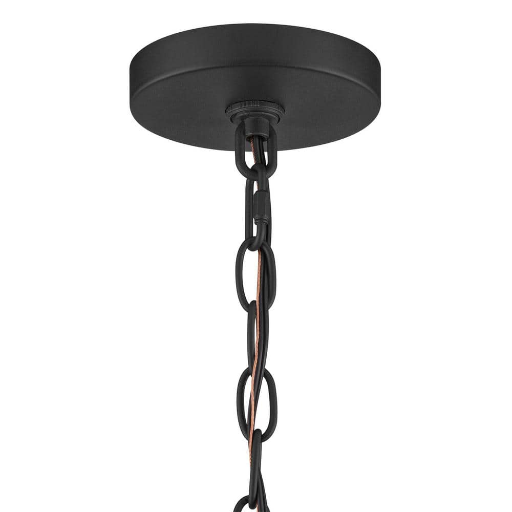 Siobhan Medium Black Metal and Clear Glass Hanging Pendant Light