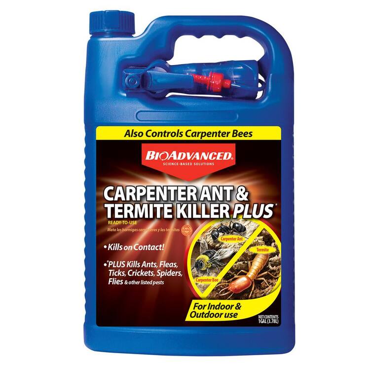 BIOADVANCED 1 Gal. Ready-to-Use Carpenter Ant and Termite Insect Killer Plus