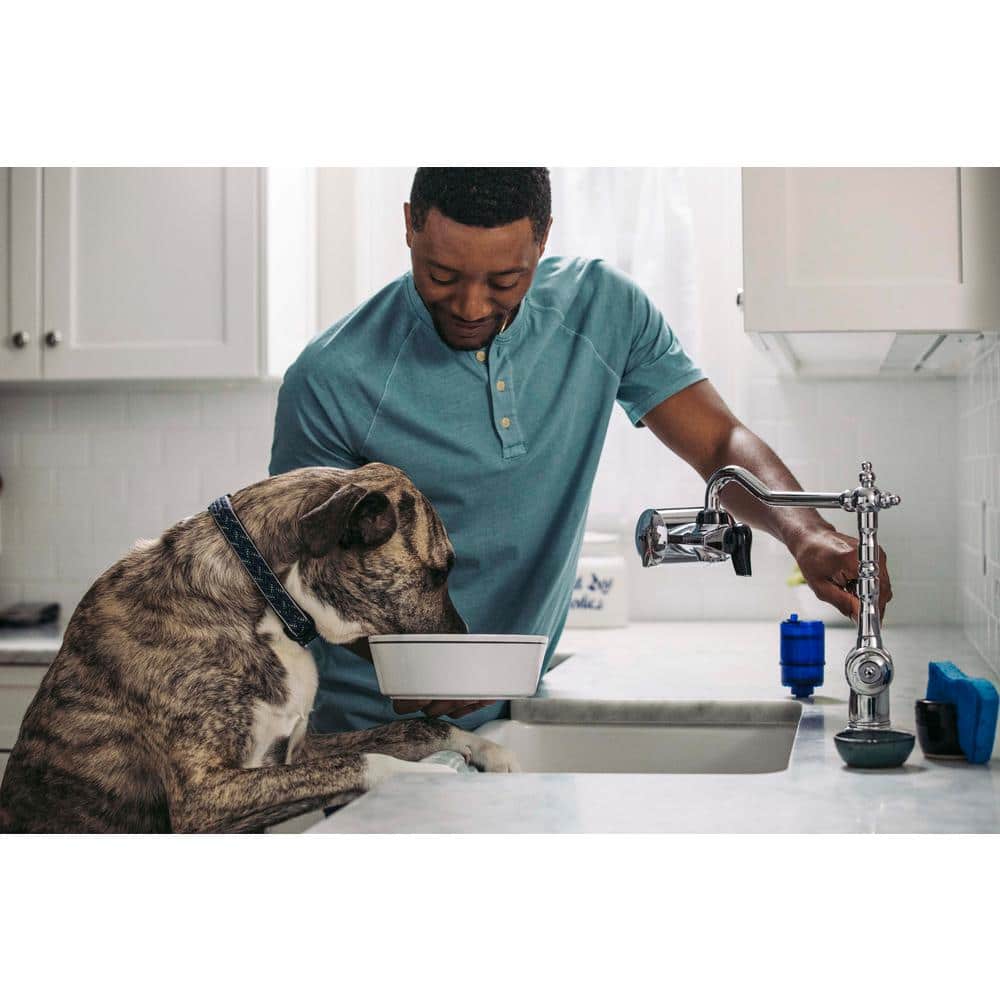 PUR PLUS Blue 2-Pack Replacement Faucet Water Filters