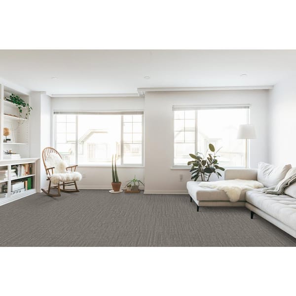 stina レオタード Golden Hour pearl gray P Home Decorators Collection Zinnia Pewter Gray 42 oz. SD High