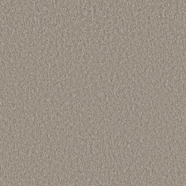Lifeproof Blissful I - Jubilant Gray - 45 oz. SD Polyester Texture Installed Carpet