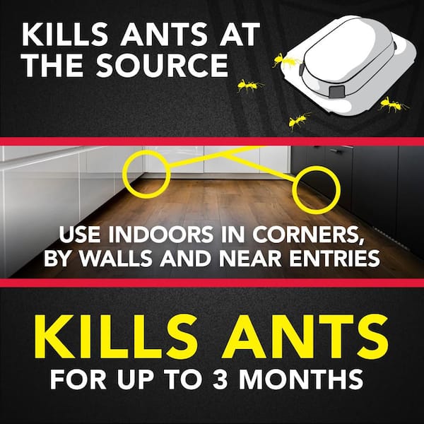 0.24 oz. Ant Baits Indoor Ant Killer, 8 Baits (3-Pack)