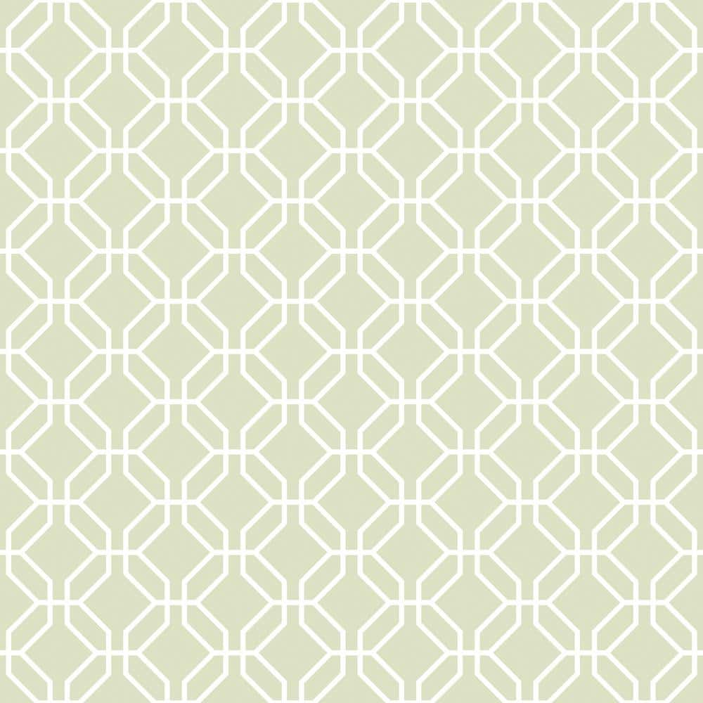 Secret Garden Green and White Octagonal Trellis Non-Woven Paper Non-Pasted 
