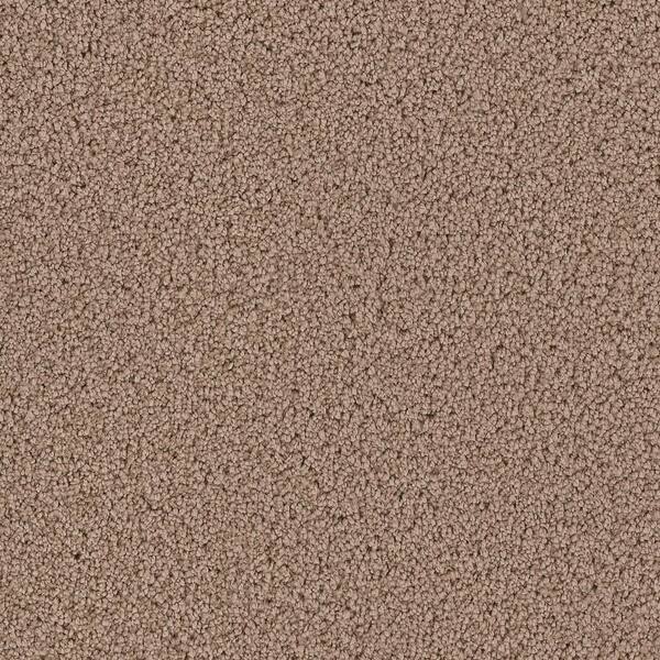 Platinum Plus Carpet Sample - Downshift I - Color Sheridan Texture 8 in. x 8 in.