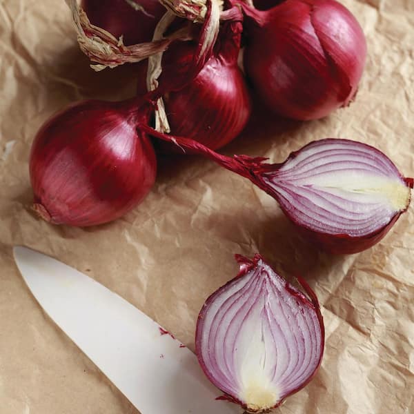 Supermarché PA / White / Red Onions With Green Stems per bunch