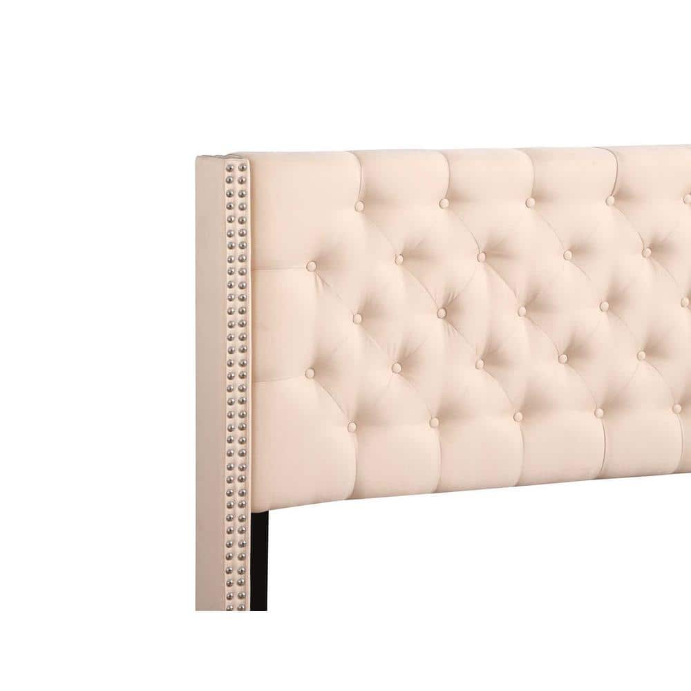Elegant Beige Velvet Tufted Queen Bed with Nailhead Trim