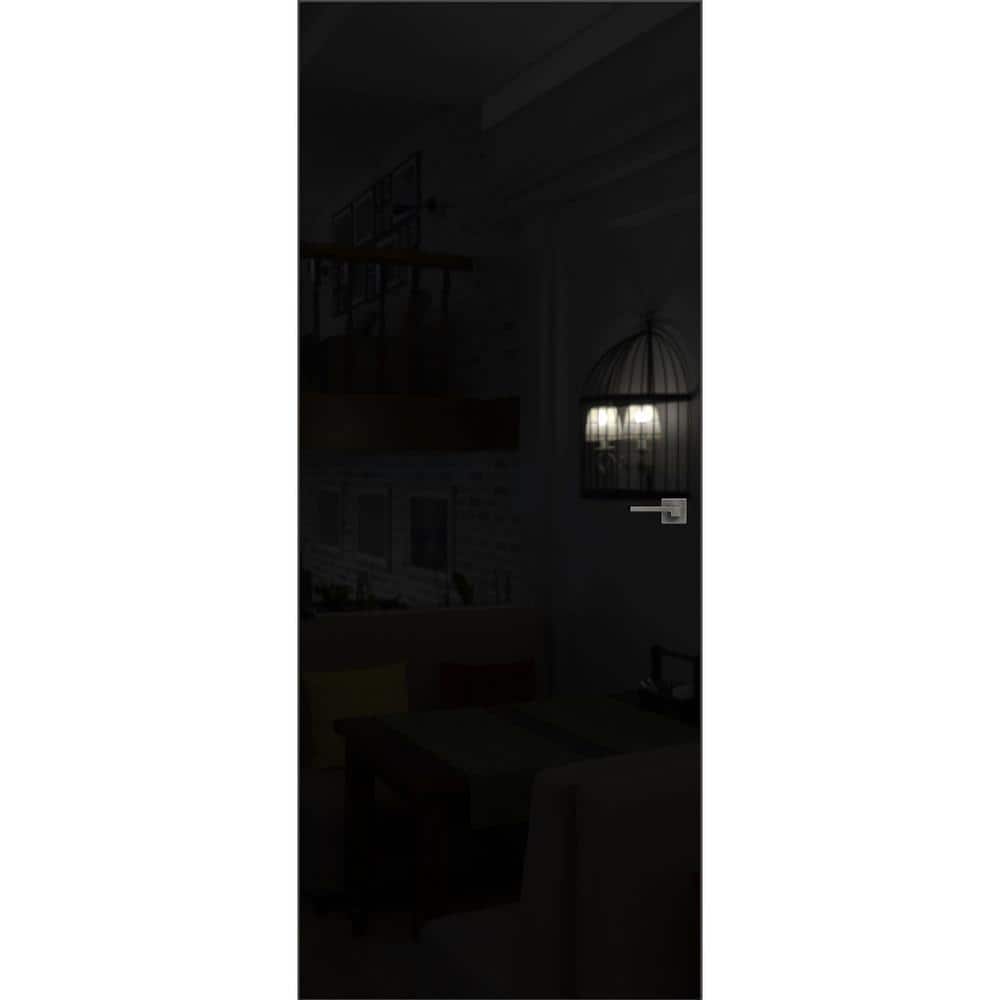18 in. x 84 in. Unassembled Left-Hand/Outswing Wood Black Color Flush Mount Hidden Door with Silver Hinge Finish price history on PriceWatchPro
