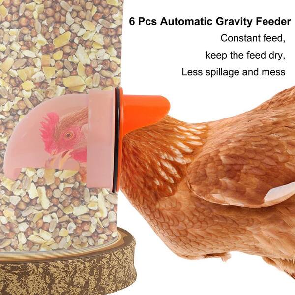 Automatic Chicken Feeder And Waterer Set Hanging Chicken Feeder No Waste Poultry Feeder 3 Gallon Water Feeder