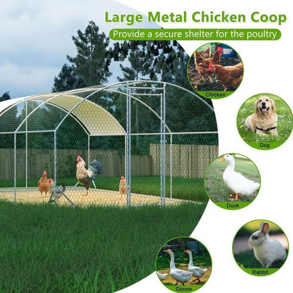 GOGEXX 19.68ft. L x 9.84 ft. W x 6.56 ft. H Large Metal Walkin