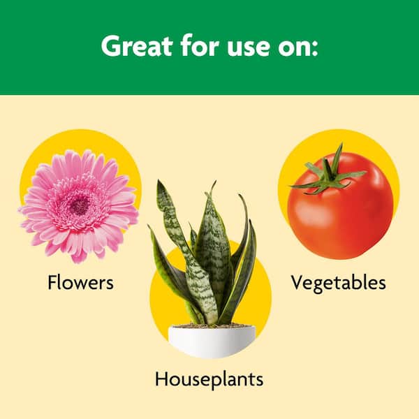 Shake 'N Feed All Purpose Plant Food, 4.5 lbs., For In-Ground and Container Plants, Feeds up to 3 Months (6-Pack)