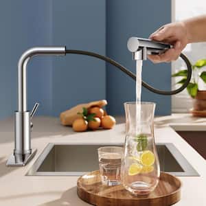 Kitchen Faucet with Single-Handle Pull Down Sprayer Sink Faucet in Chrome