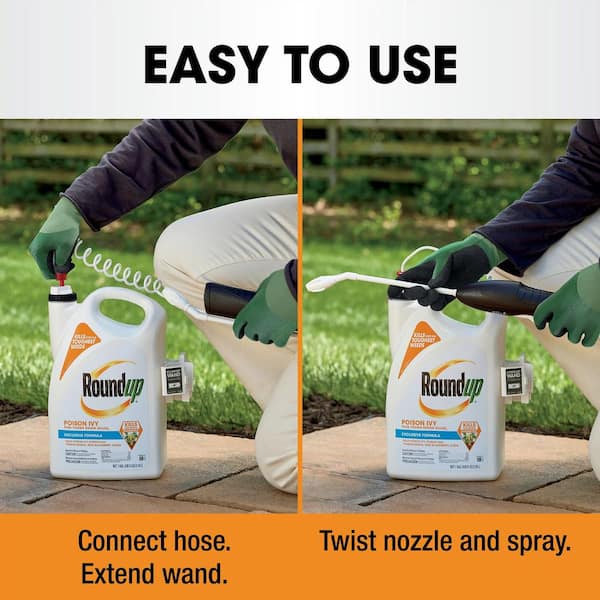 Roundup Poison Ivy Plus Tough Brush Killer