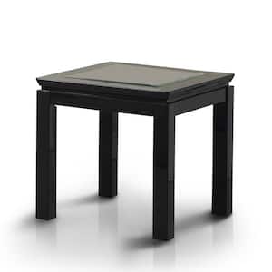 Abbotsburg 22 in. Black Square Glass End Table