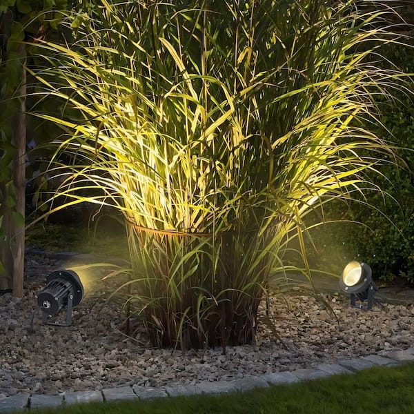 C Cattleya Low-Voltage Black Aluminum 600 Lumen Integrated LED