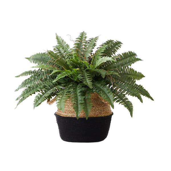 Nearly Natural 23 in. Artificial Green Boston Fern Plant with Handmade Jute  and Cotton Basket DIY KIT T4483 - The Home Depot
