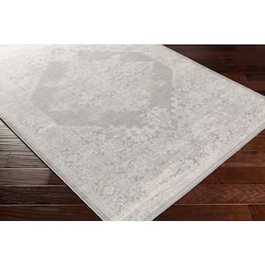 Saray Light Gray 5 ft. 3 in. x 7 ft. 1 in. Area Rug