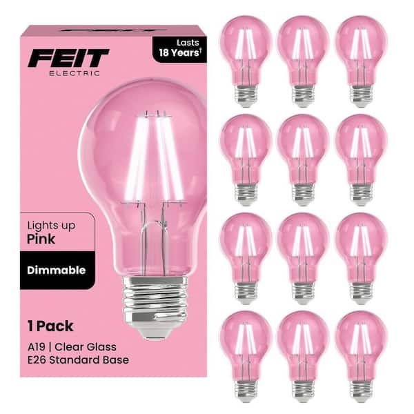 25-Watt Equivalent A19 Dimmable Filament Pink Colored Glass E26 Medium Base LED Light Bulb (12-Pack)