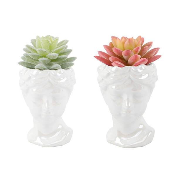Flora Bunda Artificial Succulents In 3 In Pearl White Ceramic Face Set Of 2 Cs4706e2 Pearl The Home Depot