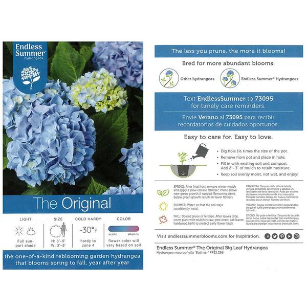 Endless Summer 1 Gal. Original Hydrangea Plant with Pink and Blue Flowers  10530 - The Home Depot